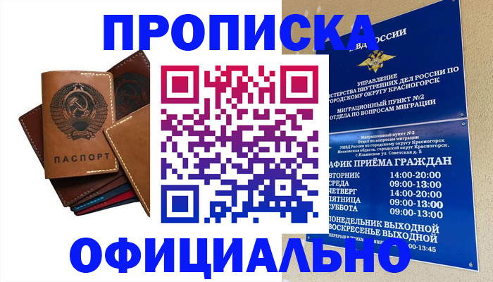 временная прописка в Чаплыгине